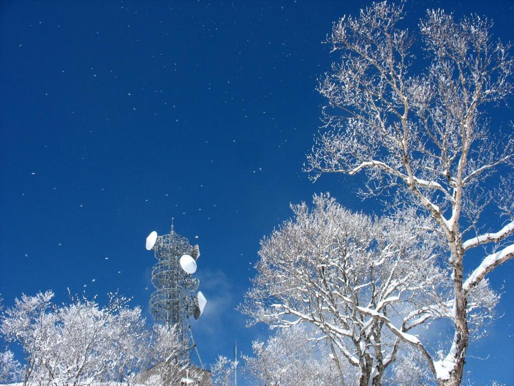 Nozawa Onsen Hotel Zewnętrze zdjęcie